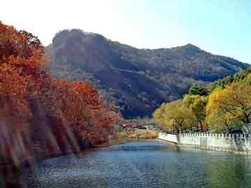 管家婆黑白马报图库，天涯博客